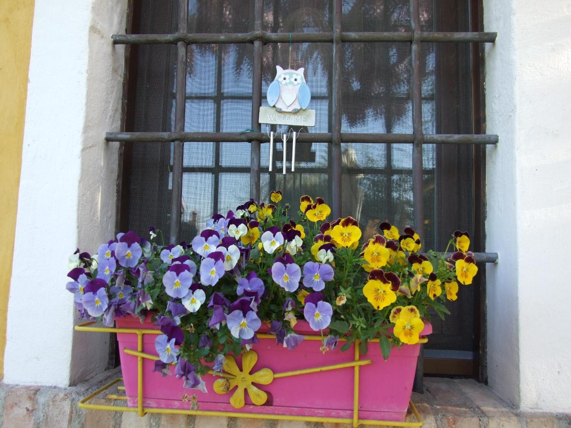 B&B Casacasina มอนซามบาโน ภายนอก รูปภาพ