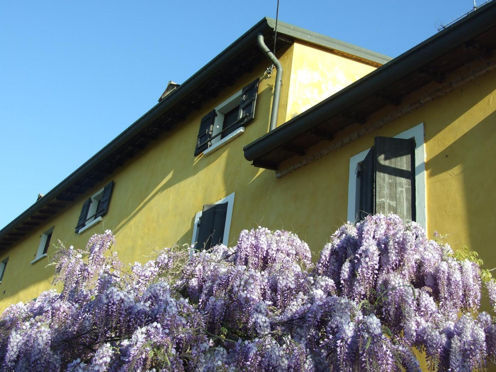 B&B Casacasina มอนซามบาโน ภายนอก รูปภาพ