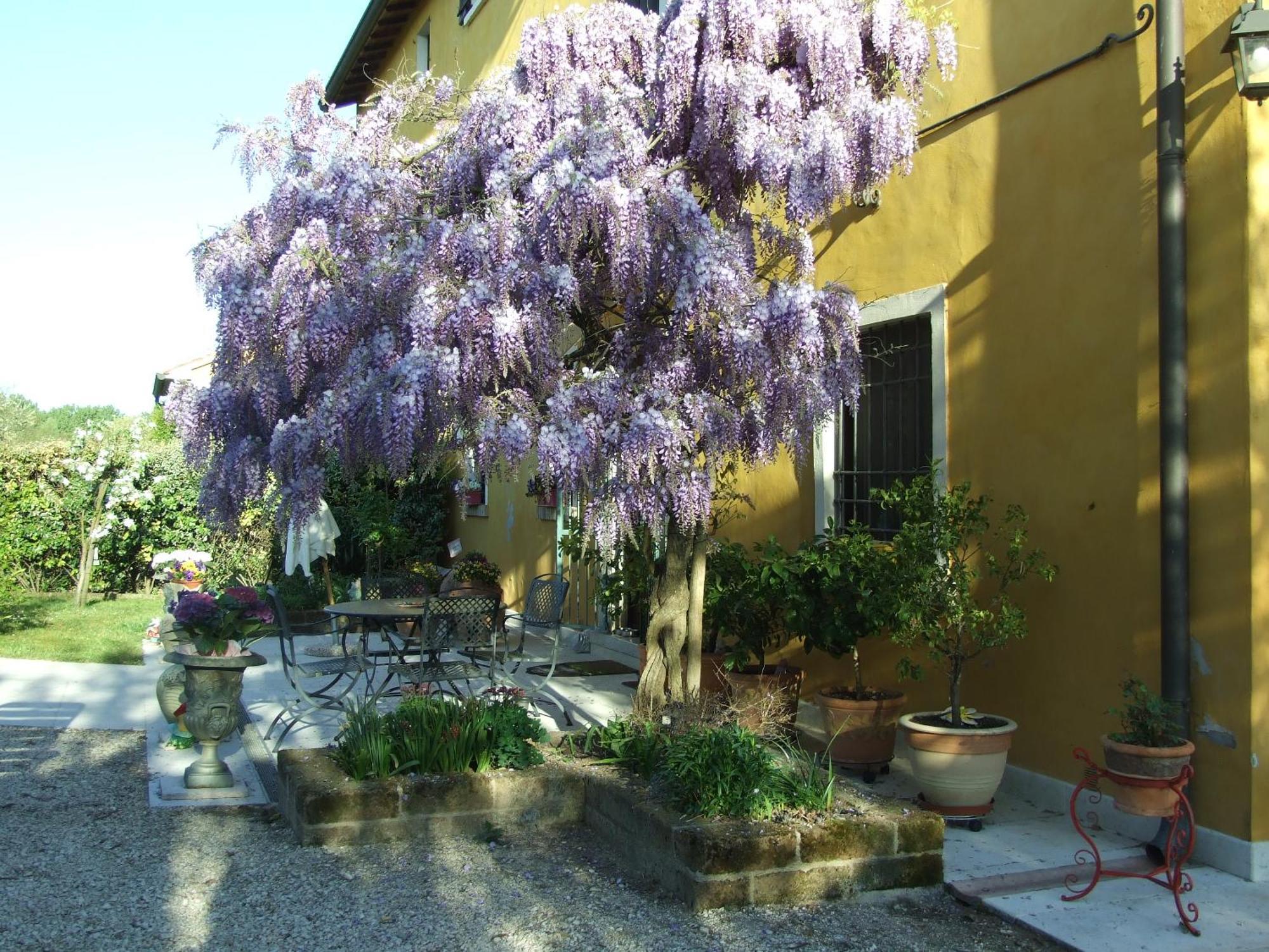 B&B Casacasina มอนซามบาโน ภายนอก รูปภาพ